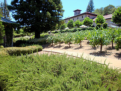 Beringer Winery