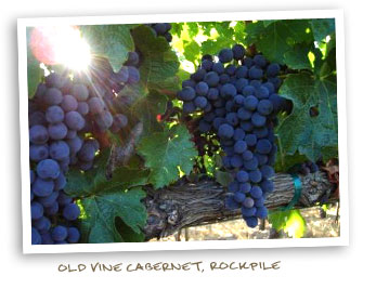 Old Vine Cabernet