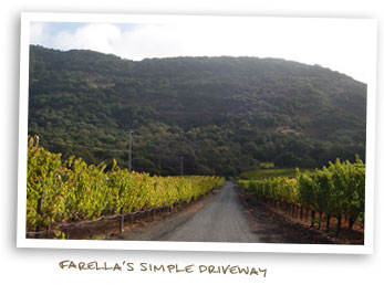 Farella's Simple Driveway