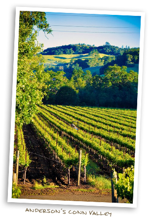 Anderson's Conn Valley