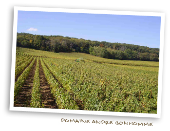Domaine Andre Bonhomme