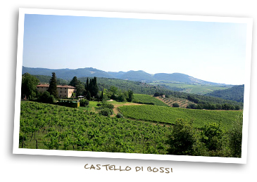 Castello di Bossi