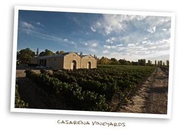 Casarena Vineyards