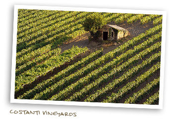 Costanti Vineyards