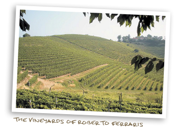 The Vineyards of Roberto Ferraris