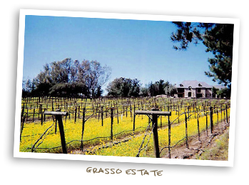 Grasso Estate