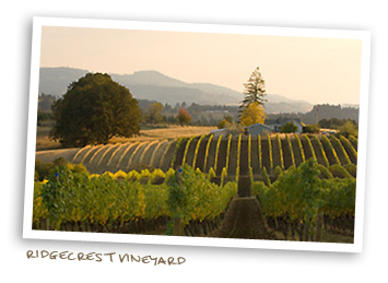 Ridgecrest Vineyard