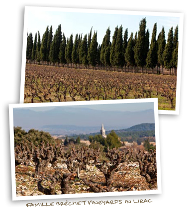 Famille Brechet Vineyards in Lirac