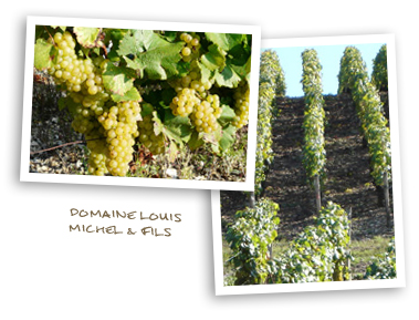 Domaine Louis Michel & Fils