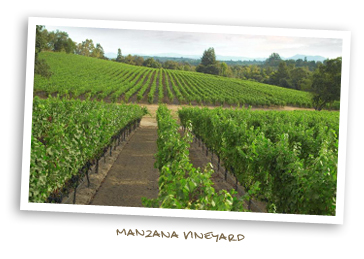 Manzana Vineyard