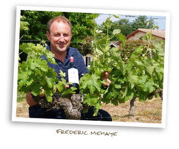 Frederic Mehaye