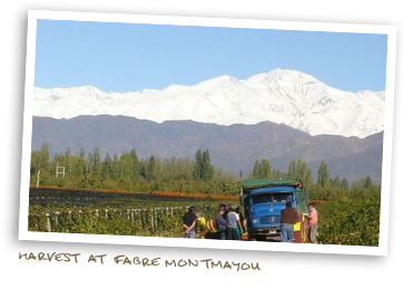 Harvest & Fabre Montmayou