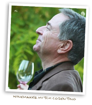 Winemaker Mitch Cosentino