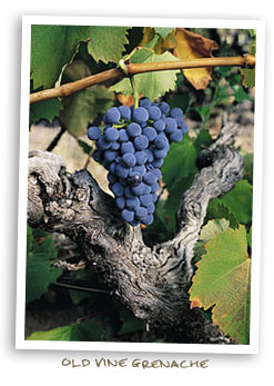 Old Vine Grenache