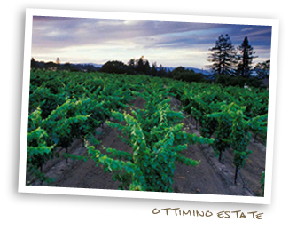 Ottimino Estate
