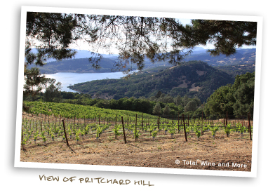 View of Pritchard Hill