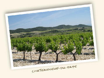 Chateauneuf-du-Pape