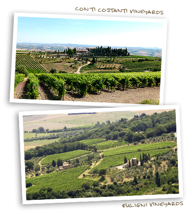 Conti Costanti Vineyards and Fuligni Vineyards