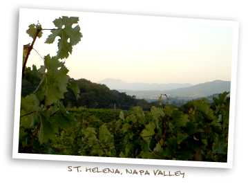 St. Helena, Napa Valley