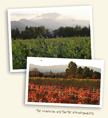Te Mania Estate Vineyards
