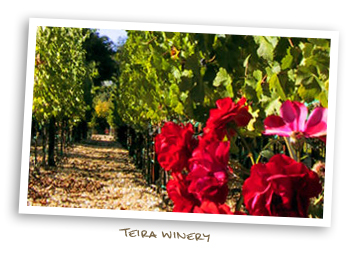 Teira Winery