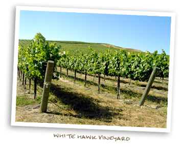 White Hawk Vineyard