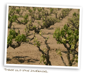 Three Old Vine Zinfandel